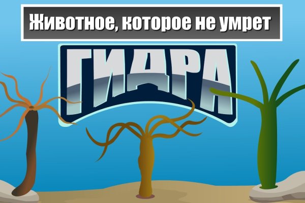 Кракен тгк