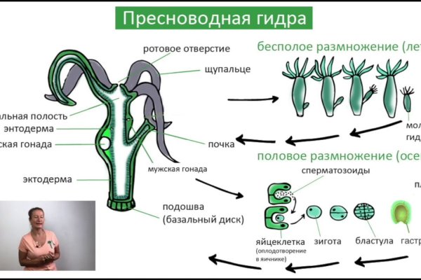 Кракен наркотики