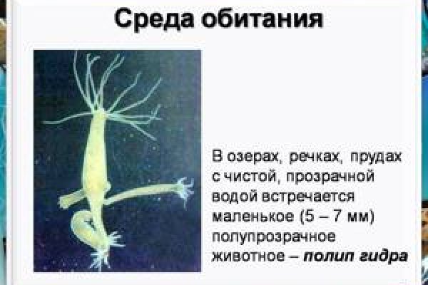 Кракен офф сайт