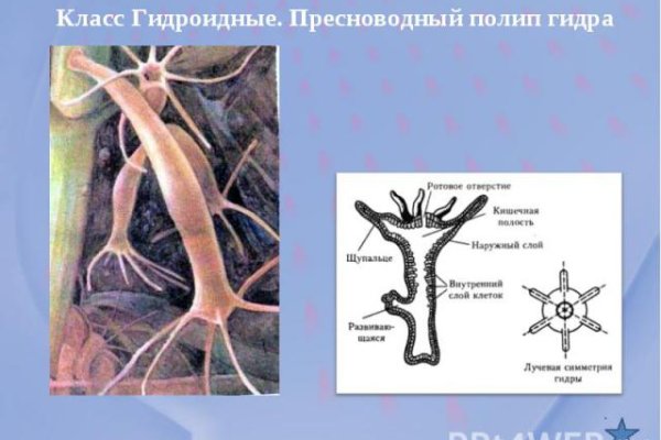 Аналог гидры