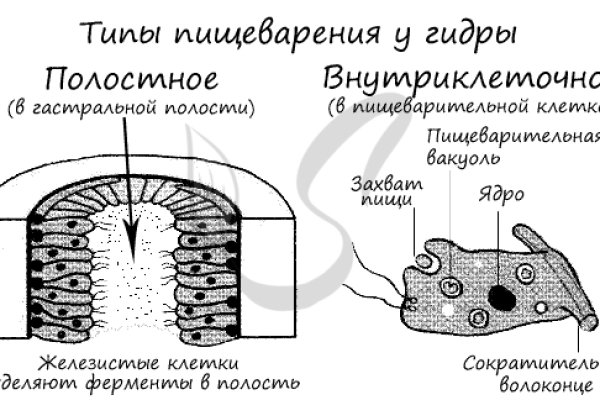Значок кракена маркетплейса
