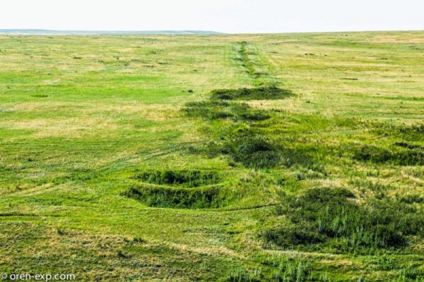 Kraken даркнет рынок ссылка