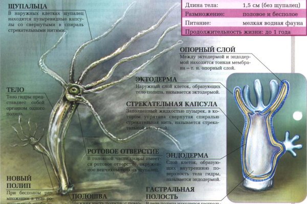 Кракен ссылка market pw