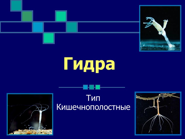 Что продают на сайте кракен