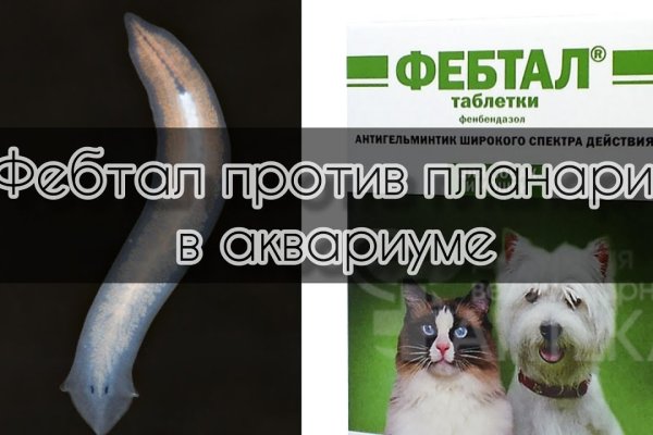 Новая ссылка на кракен