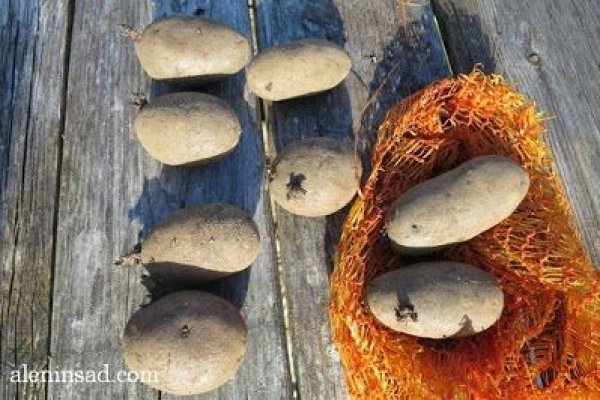 Магазины с наркотиками
