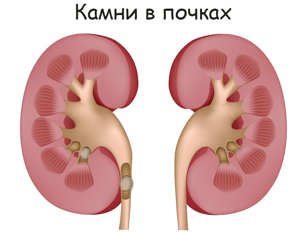 Кракен онион рабочая ссылка