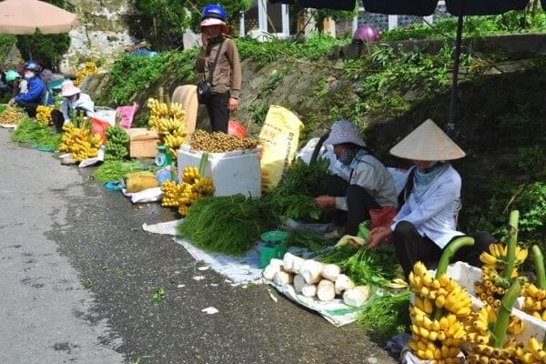 Những lưu ý khi tham quan du lịch Tam Đảo 2 ngày 1 đêm 2