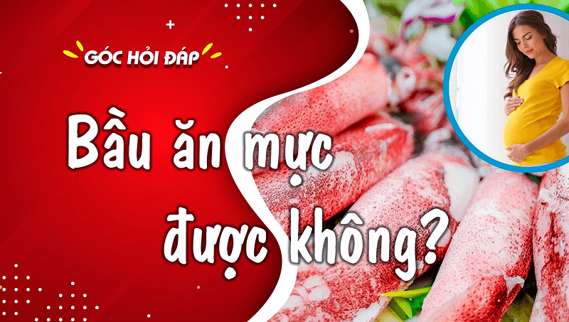 Bầu ăn mực được không? 3 tháng đầu thai kỳ có nên ăn mực không