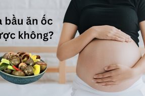 Bầu ăn ốc được không? Các loại ốc bà bầu không nên ăn