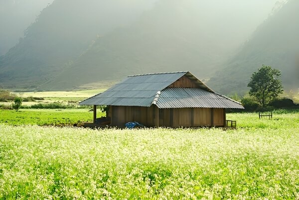 Địa điểm du lịch miền Bắc tháng 12 mộc châu