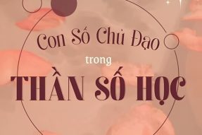 Thần số học là gì? Khám phá bản thân qua những con số