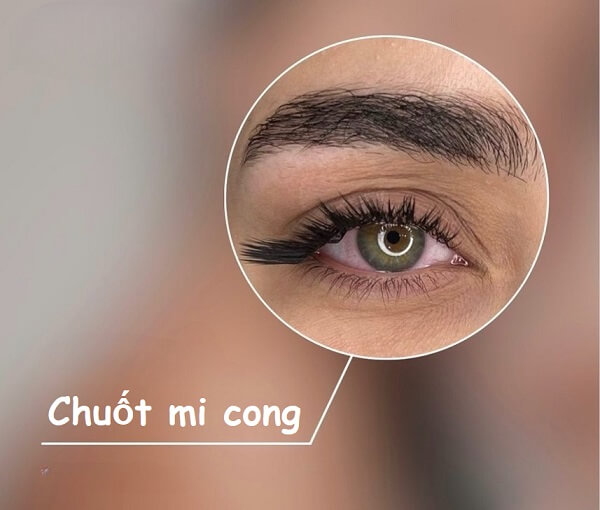 Chi tiết cách chuốt mi cong đúng cách dành cho các nàng