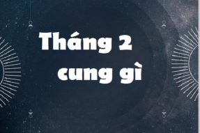 Giải đáp tháng 2 cung gì? Tính cách và tình yêu của tháng 2