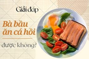 Giải đáp mẹ bầu ăn cá hồi được không? Lợi ích và tác hại