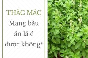 Thai Phụ Nên Biết Khi Mang Bầu Ăn Lá É Được Không?