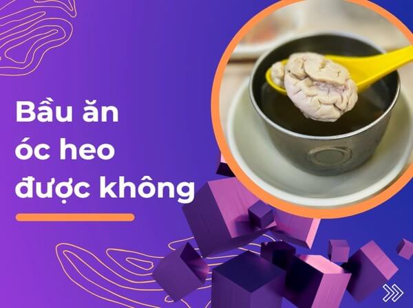 Bầu ăn óc heo được không? Lời khuyên để mẹ bầu ăn đúng cách