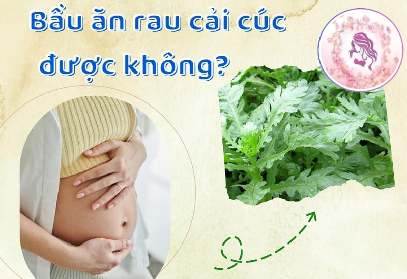 Giải đáp có bầu ăn rau cải cúc được không?