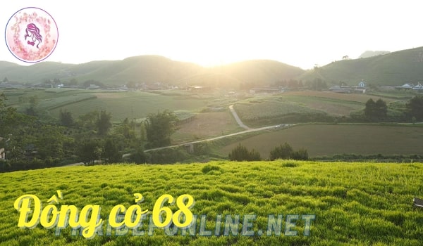 Đồng cỏ 68